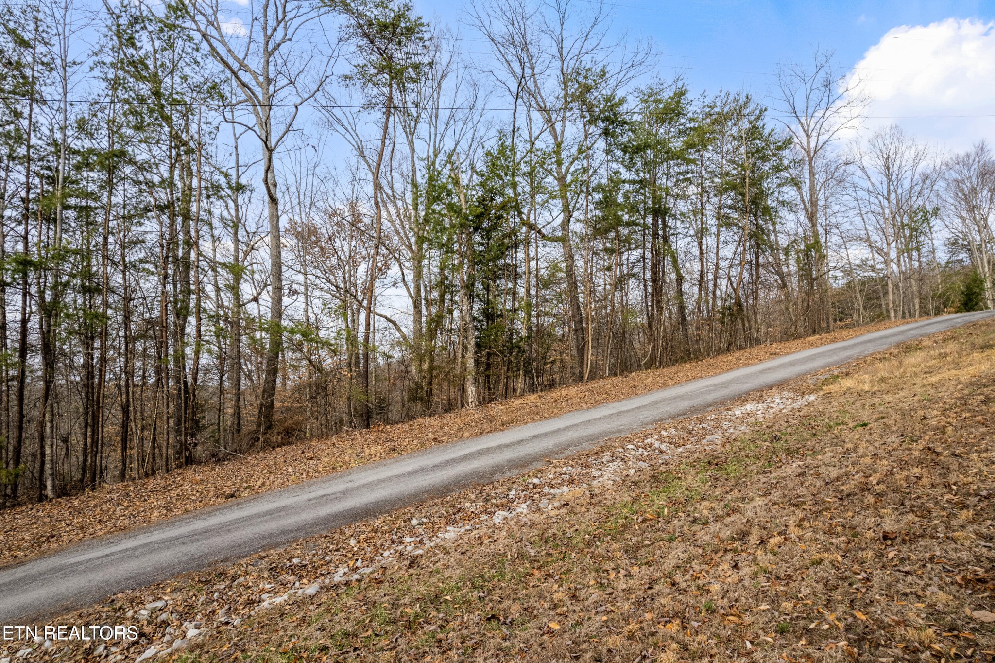 45 Walleye Point Sharps Chapel TN 37866