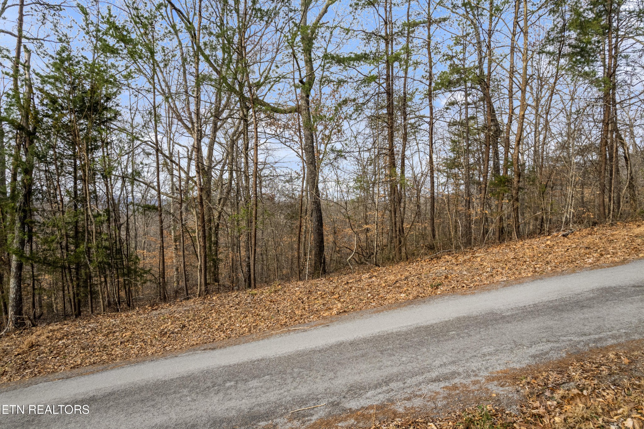 45 Walleye Point Sharps Chapel TN 37866
