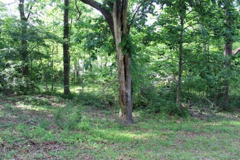 22 Gray Drive Erin TN 37061