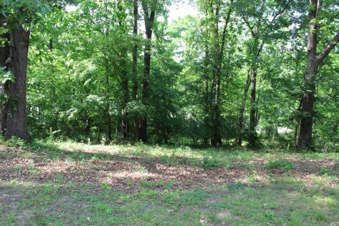 22 Gray Drive Erin TN 37061