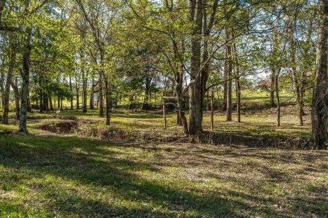 531 Governor Hall Road Castalian Springs TN 37031