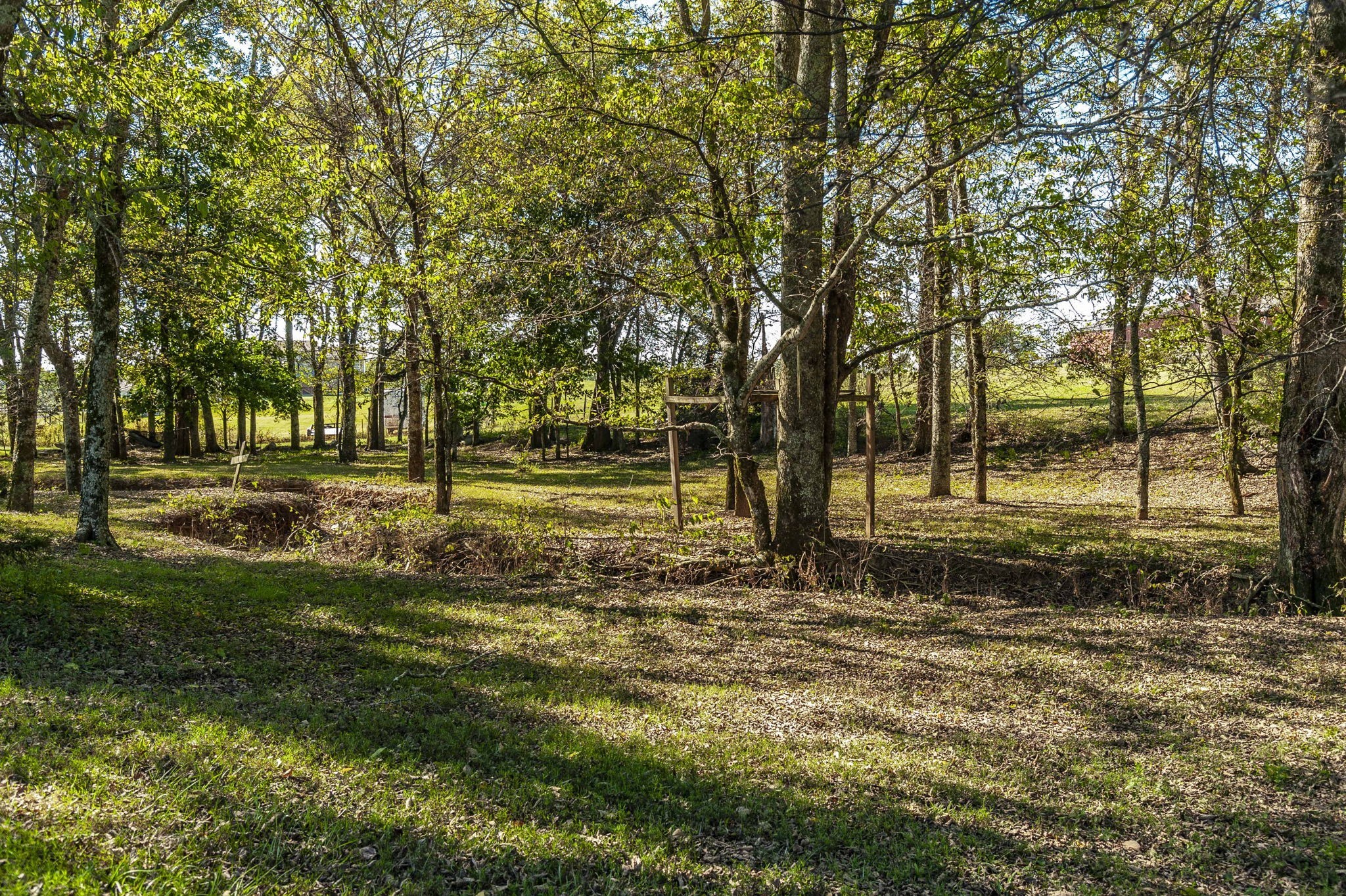 531 Governor Hall Road Castalian Springs TN 37031