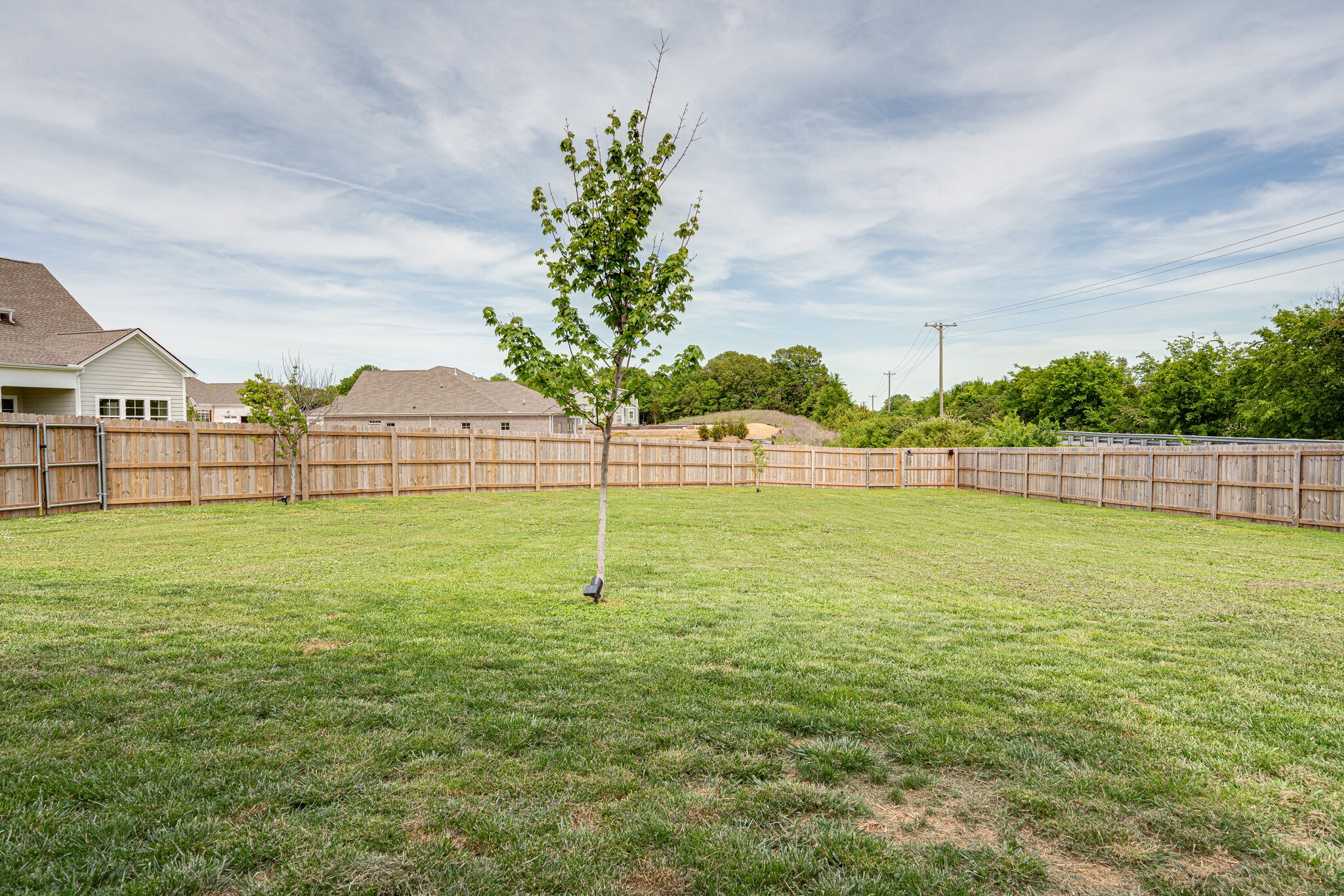 1103 Clarendon Avenue Murfreesboro TN 37128