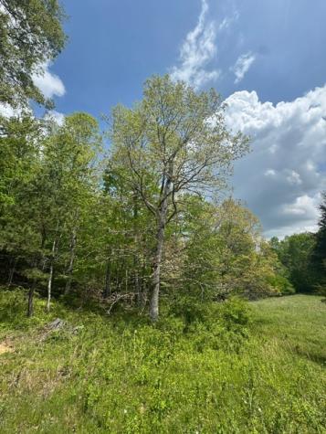 0 Sam Smith Road Allardt TN 38504