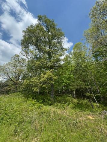 0 Sam Smith Road Allardt TN 38504