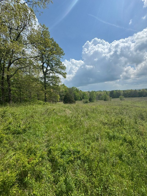 0 Sam Smith Road Allardt TN 38504