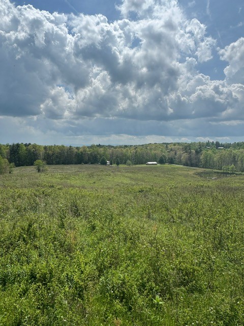 0 Sam Smith Road Allardt TN 38504