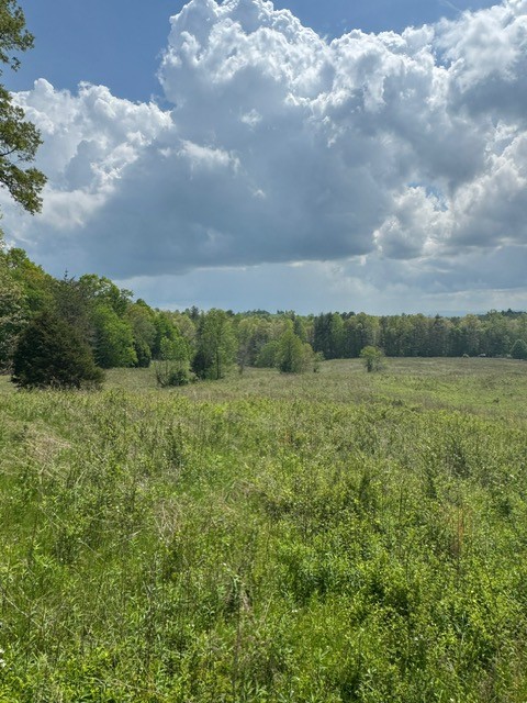 0 Sam Smith Road Allardt TN 38504