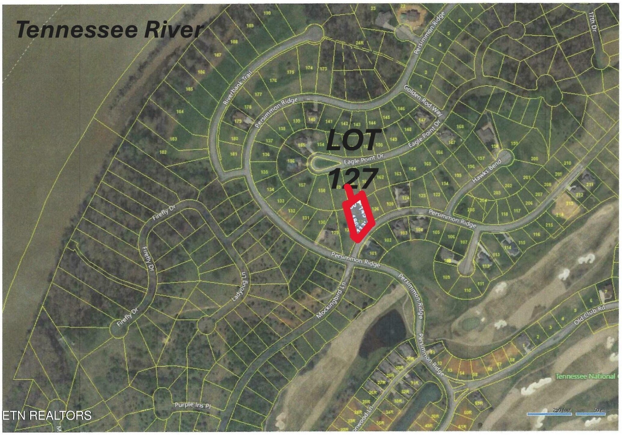 211 Chestnut Lane Loudon TN 37774