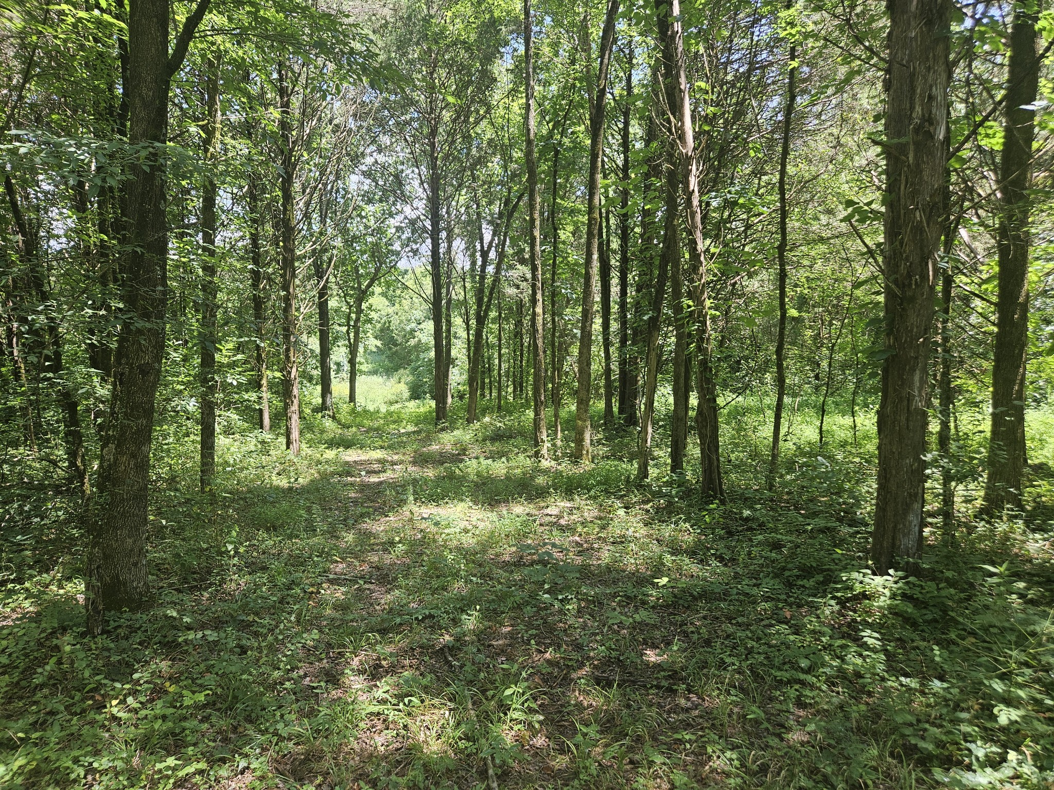 3720 SE Tater Peeler Road Lebanon TN 37090