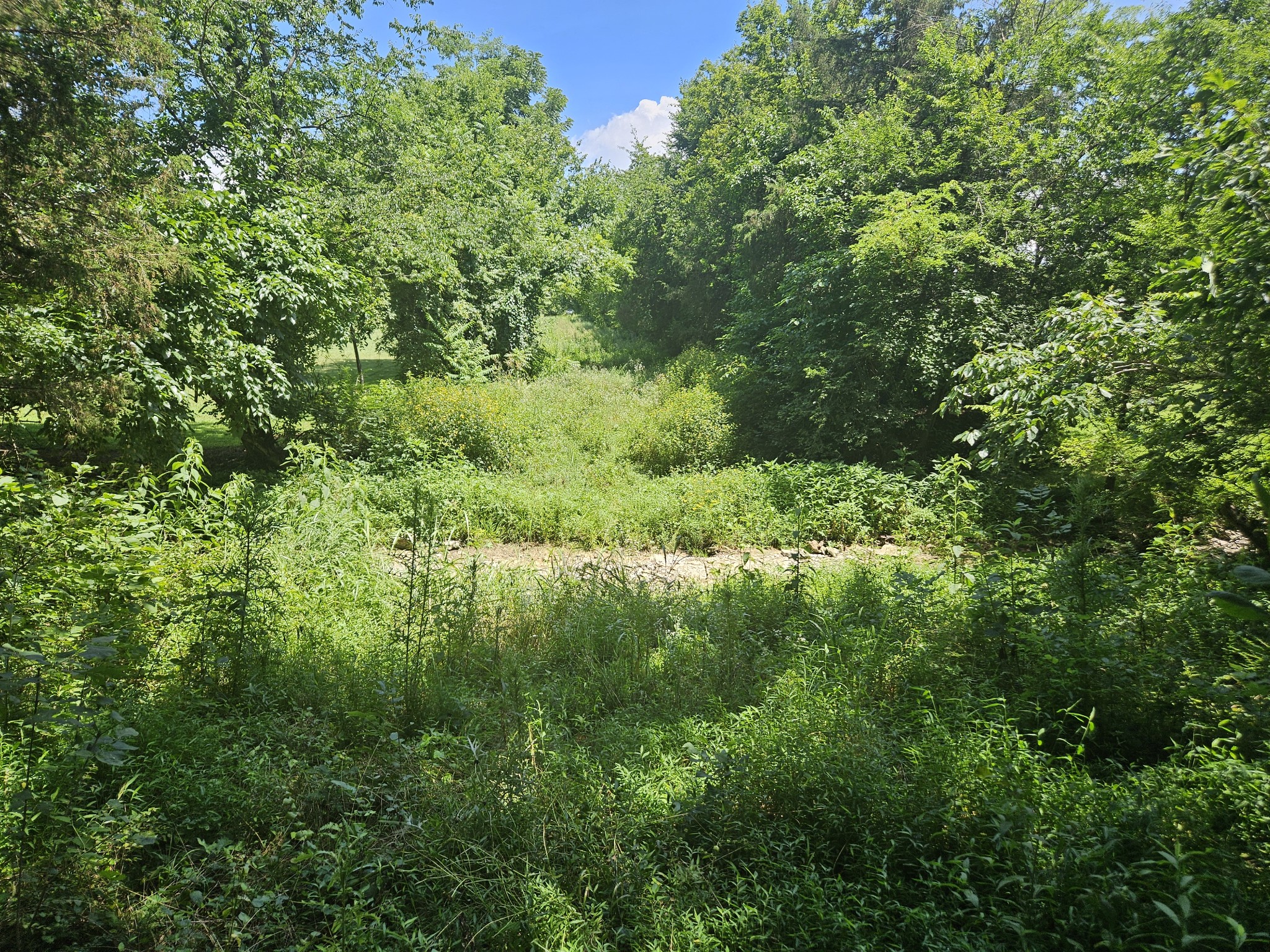 3720 SE Tater Peeler Road Lebanon TN 37090