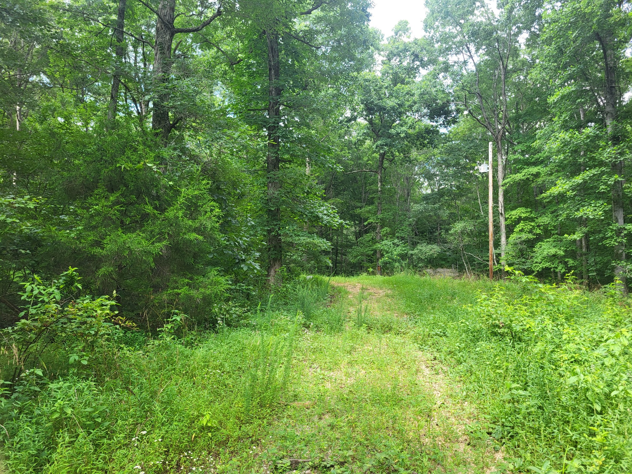 0 Mcdonald Loop Dickson TN 37055