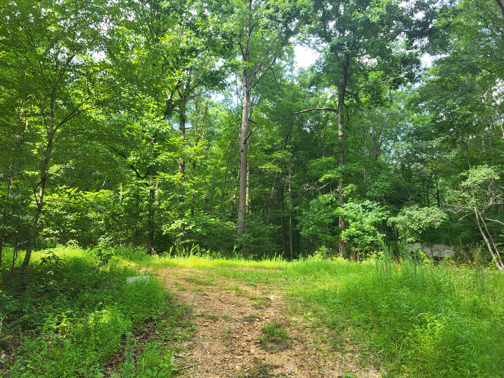 0 Mcdonald Loop Dickson TN 37055