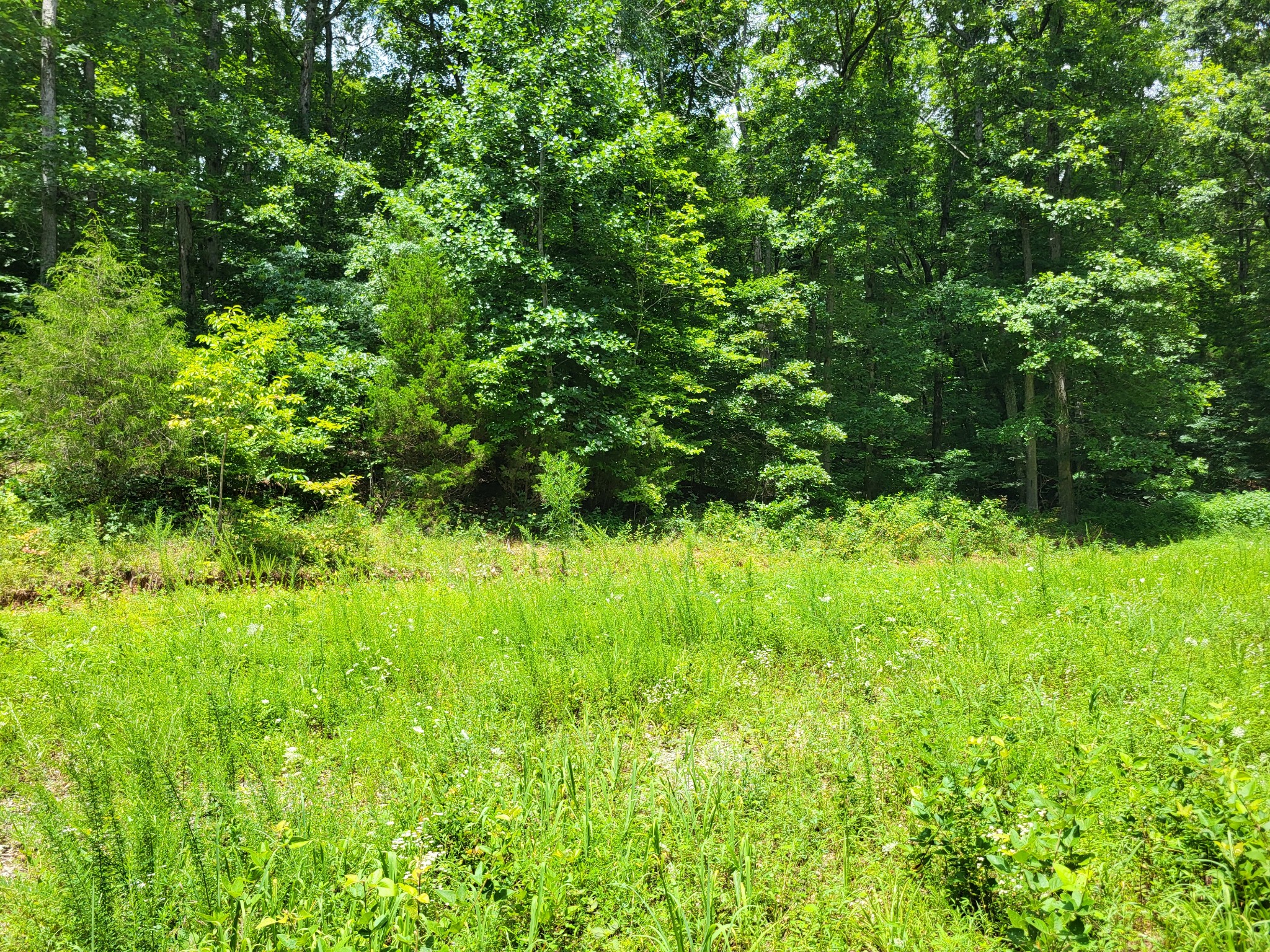 0 Mcdonald Loop Dickson TN 37055
