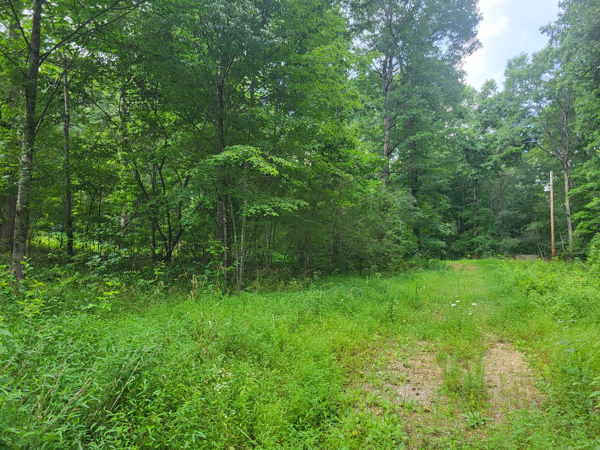 0 Mcdonald Loop Dickson TN 37055