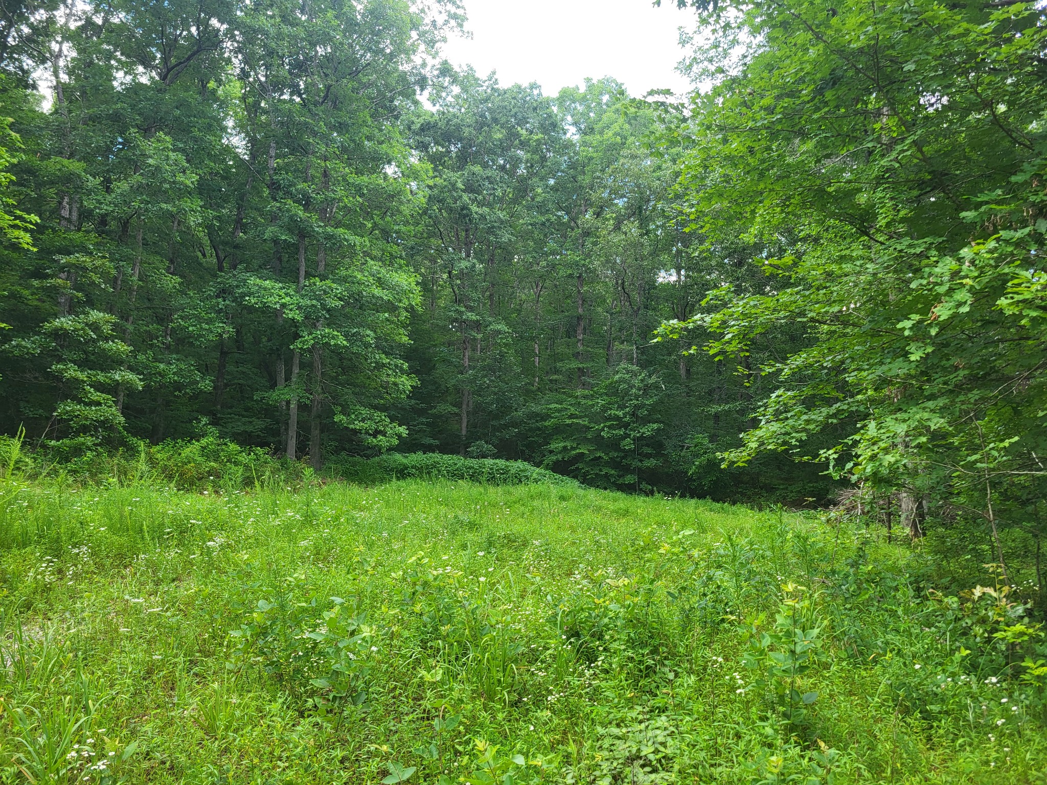 0 Mcdonald Loop Dickson TN 37055