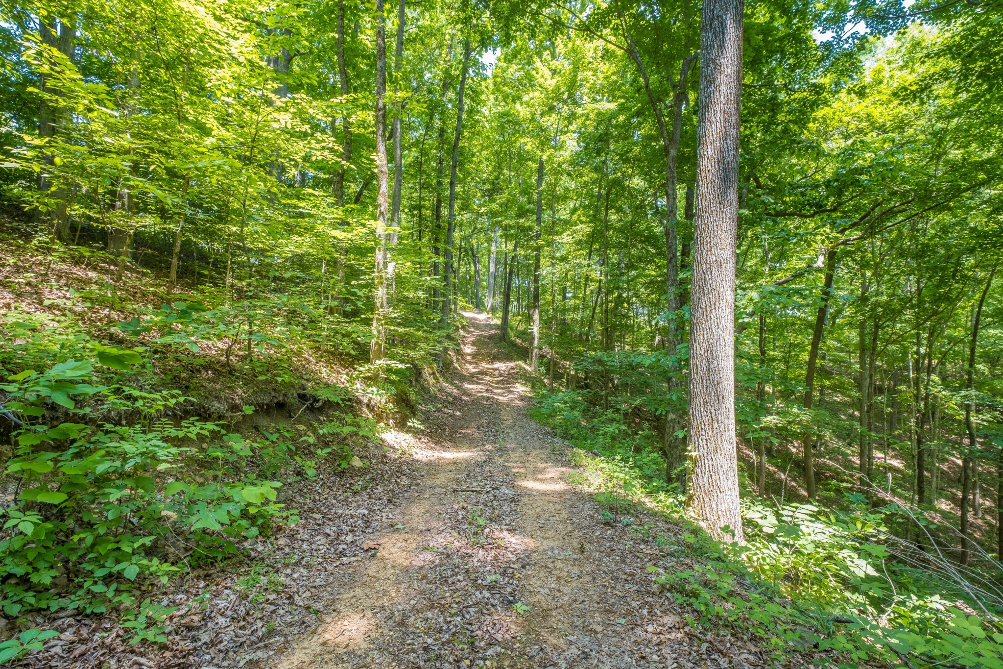 5284 Poor House Hollow Road Franklin TN 37064