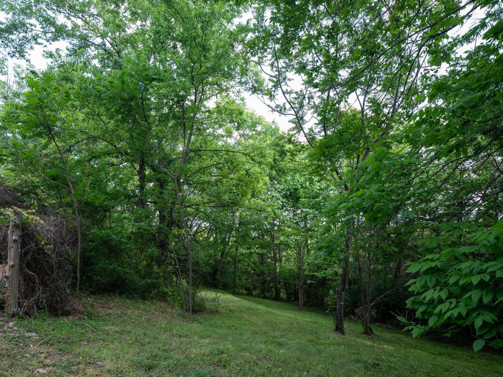 9675 Clovercroft Road Nolensville TN 37135