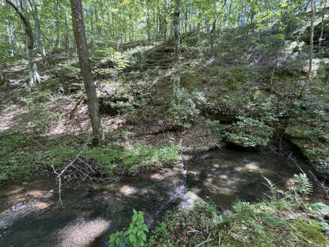 107 Sickler Road Hohenwald TN 38462