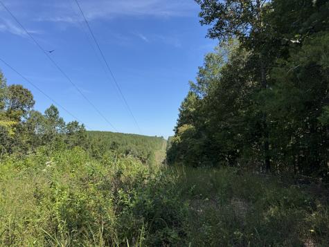 107 Sickler Road Hohenwald TN 38462