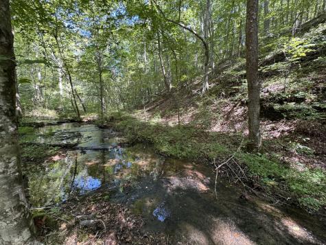 107 Sickler Road Hohenwald TN 38462
