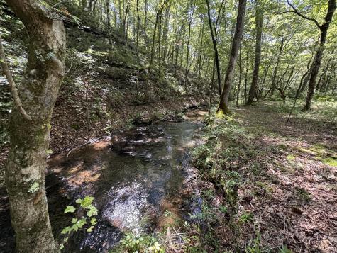 107 Sickler Road Hohenwald TN 38462