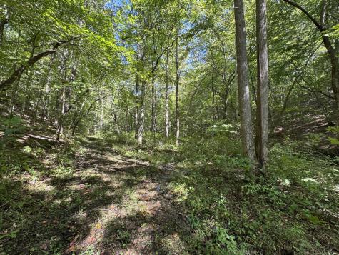 107 Sickler Road Hohenwald TN 38462