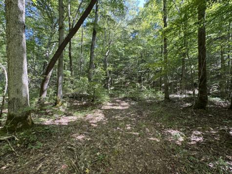 107 Sickler Road Hohenwald TN 38462