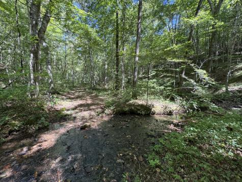 107 Sickler Road Hohenwald TN 38462