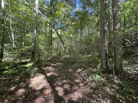 107 Sickler Road Hohenwald TN 38462