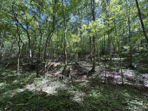 107 Sickler Road Hohenwald TN 38462