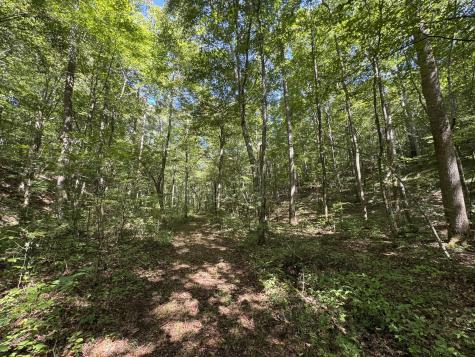 107 Sickler Road Hohenwald TN 38462