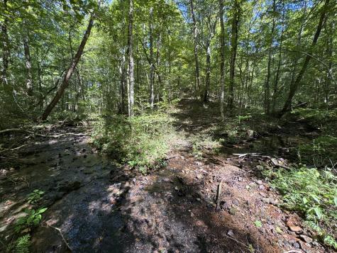 107 Sickler Road Hohenwald TN 38462