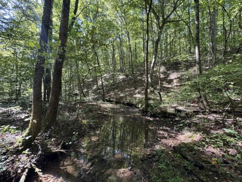 107 Sickler Road Hohenwald TN 38462