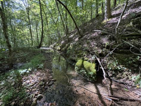 107 Sickler Road Hohenwald TN 38462