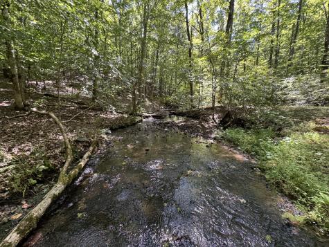 107 Sickler Road Hohenwald TN 38462