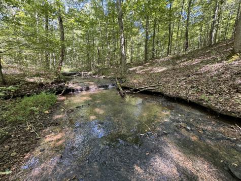 107 Sickler Road Hohenwald TN 38462
