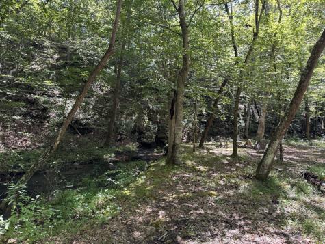 107 Sickler Road Hohenwald TN 38462