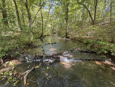 107 Sickler Road Hohenwald TN 38462
