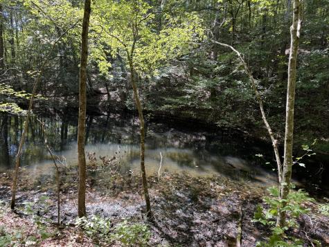 107 Sickler Road Hohenwald TN 38462