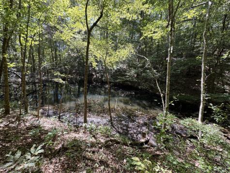 107 Sickler Road Hohenwald TN 38462