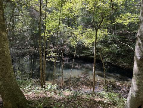 107 Sickler Road Hohenwald TN 38462
