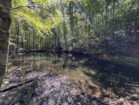 107 Sickler Road Hohenwald TN 38462