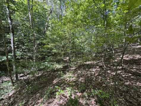 107 Sickler Road Hohenwald TN 38462