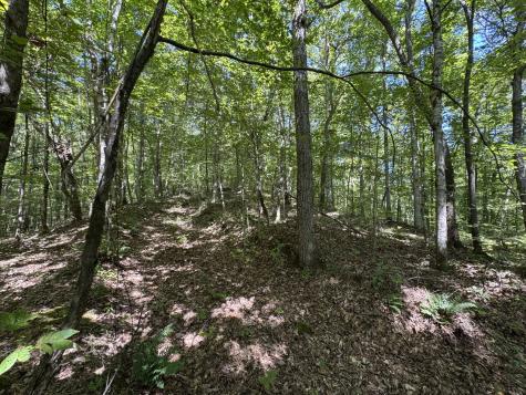 107 Sickler Road Hohenwald TN 38462