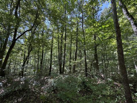 107 Sickler Road Hohenwald TN 38462