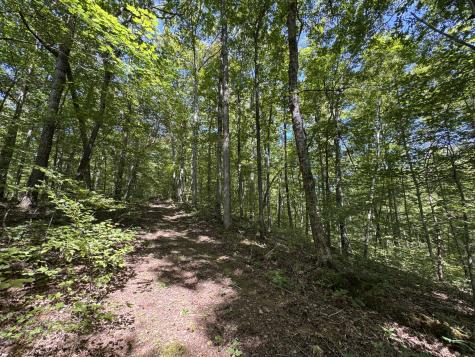 107 Sickler Road Hohenwald TN 38462