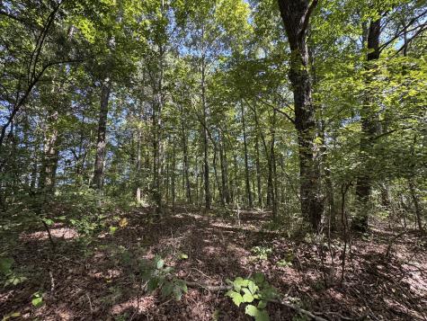 107 Sickler Road Hohenwald TN 38462