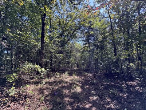 107 Sickler Road Hohenwald TN 38462