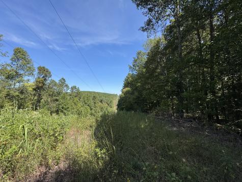 107 Sickler Road Hohenwald TN 38462
